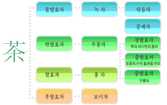 홍차이 이미지